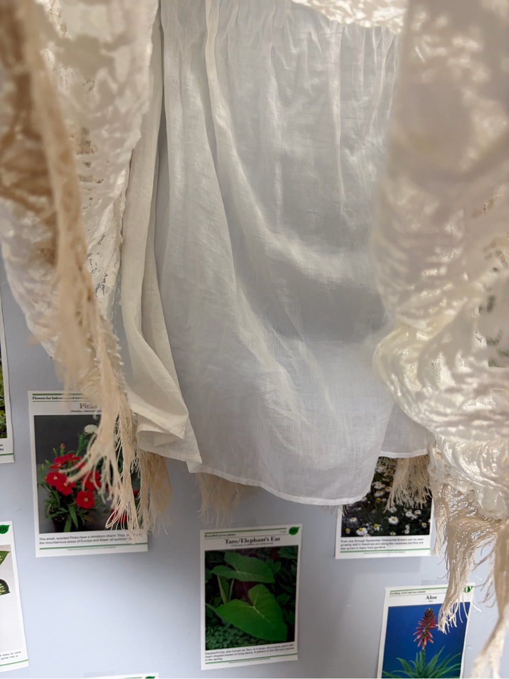 VENUS White Lace Boho Dress with Beige Trim - Picture 4 of 6